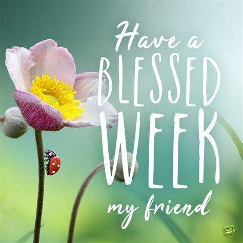 Have A Blessed Week With Beautiful Flowers