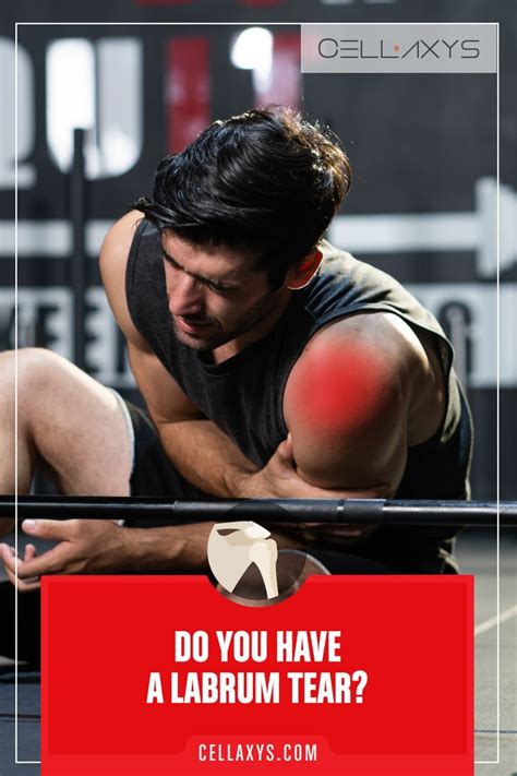 Do You Have A Labrum Tear Shoulder Ball Shoulder Joint Back Pain