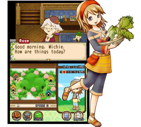 Harvest Moon Tale Of Two Towns Ds Dsseoisseo