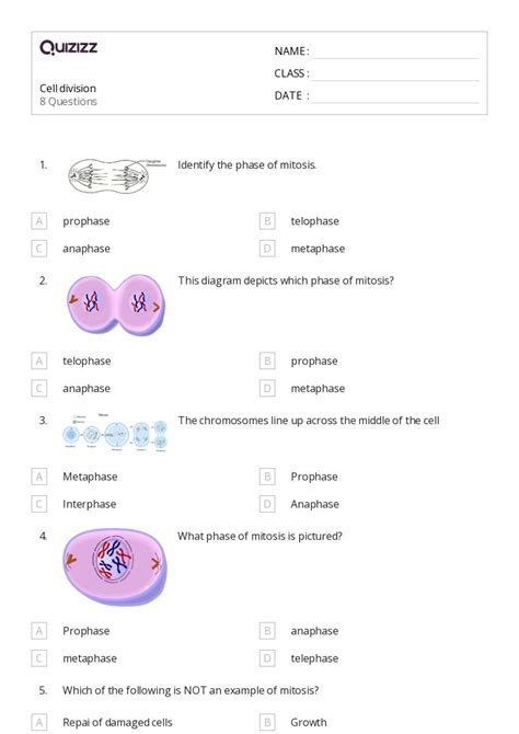 Cell Division Worksheets On Quizizz Free Printable