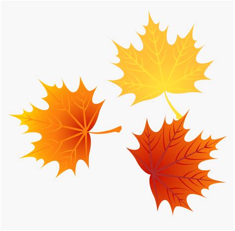 Thanksgiving Leaves Png Vector Fall Leaf Png Transparent Png