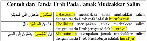 Contoh Ayat Jamak Mudzakkar Salim DonavanrtGalloway