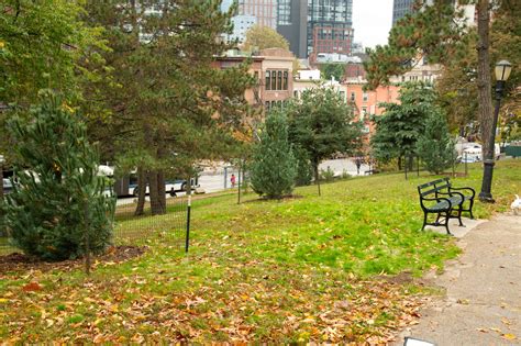 New Fort Greene Park garden honors healthcare workers lost to pandemic • Brooklyn Paper