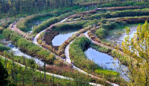 Gallery Of Minghu Wetland Park Turenscape 3