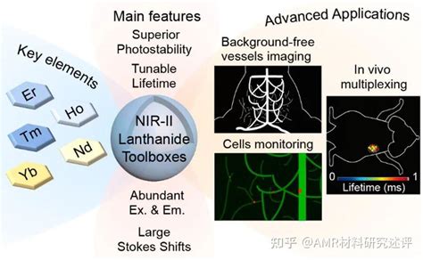 复旦大学张凡教授团队：镧系近红外二区荧光探针及其在生物医学成像与诊断领域的应用 知乎