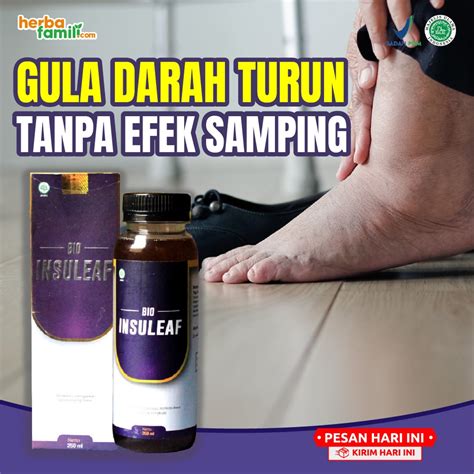 Jual Bio Insuleaf Obat Diabetes Turunkan Gula Darah Isi Ml Shopee