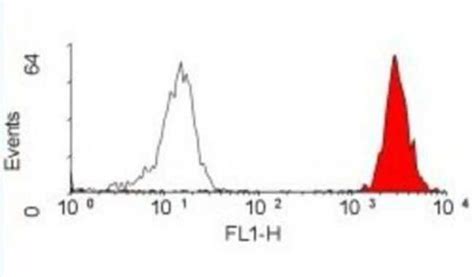 Hla Abc Antibody W632 Azide And Bsa Freeantibodiesprimary