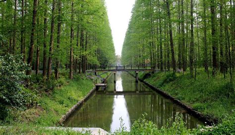 Chongming Island National Geological Park