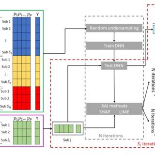 Schematic Overview Of The Explainable Dl Framework For Brain Age