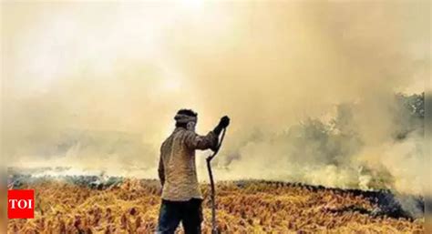 Latest Updates Punjab Records 1 842 Farm Fires Bjp Slams Aap Govt Over Rising Stubble Burning