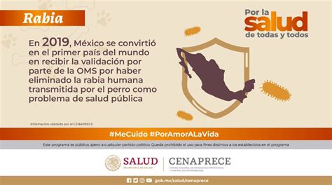 SALUD México on Twitter ComunicadoSalud Secretaría de Salud difunde