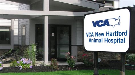 Veterinarians In New Hartford Ny Vca New Hartford Animal Hospital