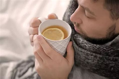 Kräutertee selber machen 3 Rezepte aus deinem Garten Frag Mutti