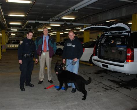 Woodbury Police Welcome K 9 Nova To Team Woodbury Mn Patch