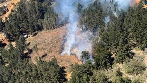 Onemi decreta alerta roja para Valparaíso por incendio forestal