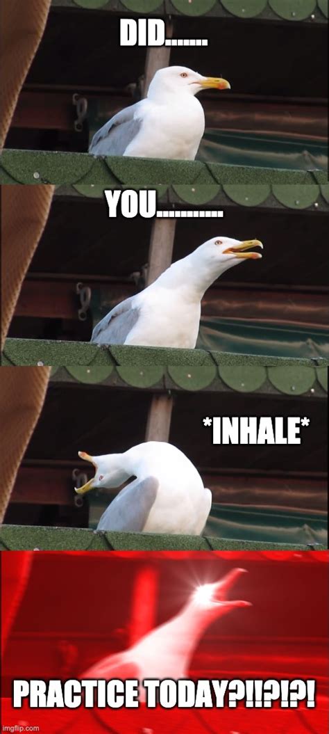 Inhaling Seagull Meme Imgflip