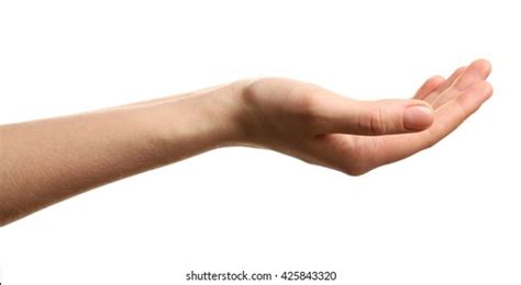 Open Palm Png