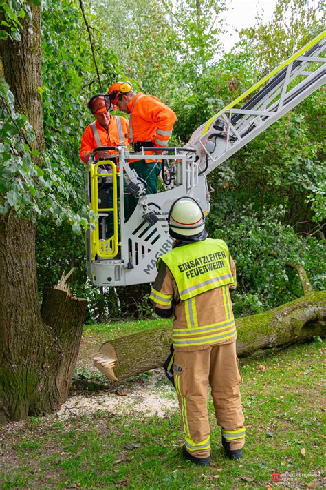 223 Technische Hilfe THL 1 klein Baum auf Straße am 03 08 2023