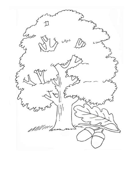 Coloriage Arbre T L Charger Et Imprimer Gratuit Sur Coloriageenfant