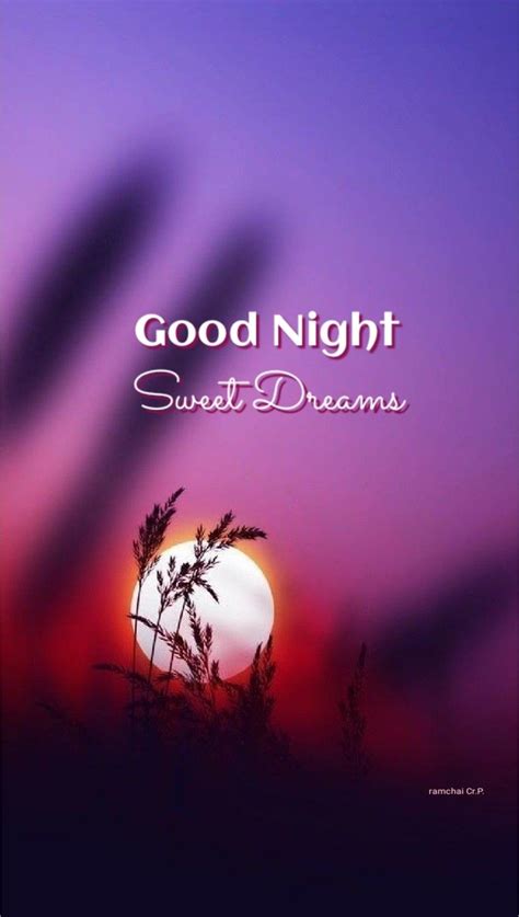 Good Night Wishes Good Night Sweet Dreams Good Morning Good Night