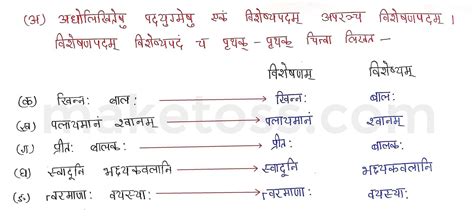 Sanskrit Class 9 Chapter 5 भ्रान्तो बालः Ncert Exercise Solution Question Answer 2023 24