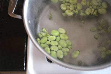 How To Peel Or Shell Fresh Fava Beans