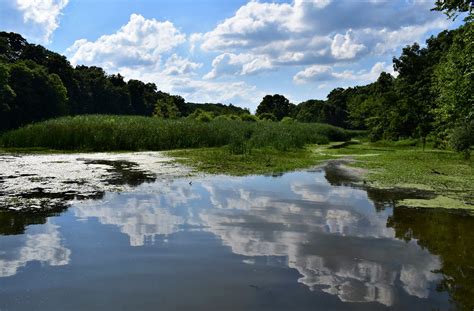 Dsc0907 Forbes State Park Kinmundy Il Stacerae Flickr