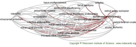 Libman-Sacks Endocarditis disease: Malacards - Research Articles, Drugs ...