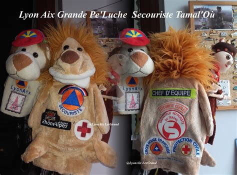 Secouriste Croix Rouge Sécurite Civile Sauveteur Secouriste Du Travail