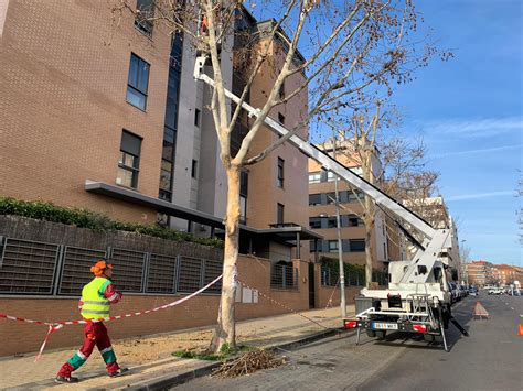 El Ayuntamiento De San Sebasti N De Los Reyes Contin A Con La Poda