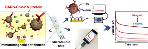 Microfluidic Immunoassays For Sensitive And Simultaneous Off