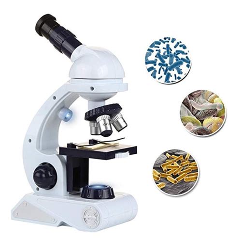 Top 10 Best Microscopes For Kids Amazing Product Lists