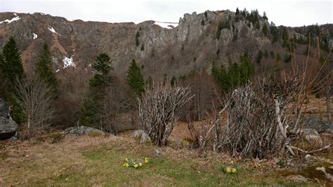 Kastelberg Hohneck Col De La Schlucht Auf Dem Felsenweg Sentier Des