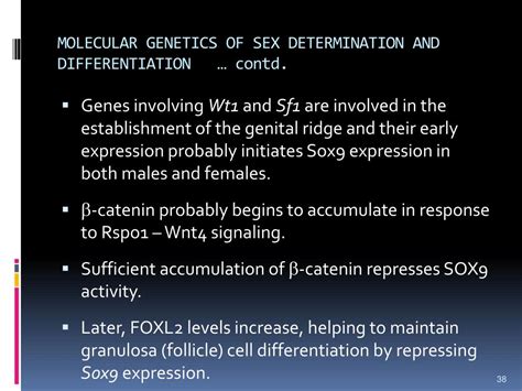 Ppt Anp502 Reproductive Physiology Of Farm Animals Powerpoint