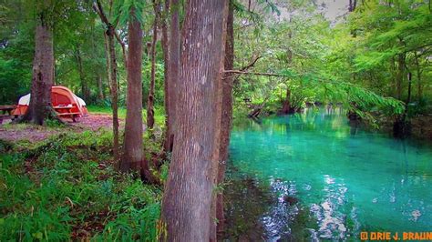 Ginnie Springs Outdoors - 4 Photos, 1 Reviews - High Springs, FL