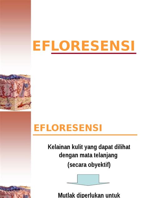 Pdf Efloresensi Part 1 Dokumentips