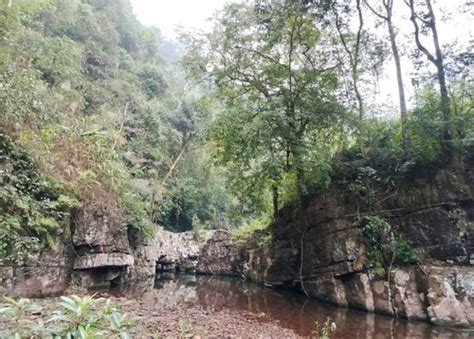 Volksgruppe Der Dao In Na Hac Und Ihre Waldschutz Sitte