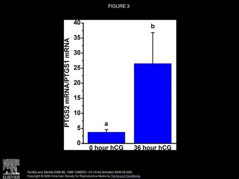 Prostaglandin Endoperoxide Synthase PTGS1 And PTGS2 Expression And