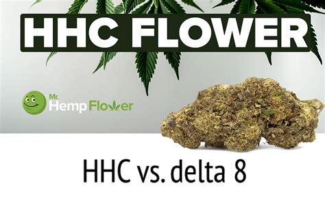 Hhc Vs Delta 8 Cbd Guide