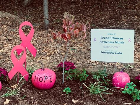 Garden Club Participates In Plant It Pink For Breast Cancer Awareness