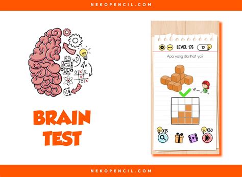 Kunci Jawaban Brain Test Level Terbaru Nekopencil