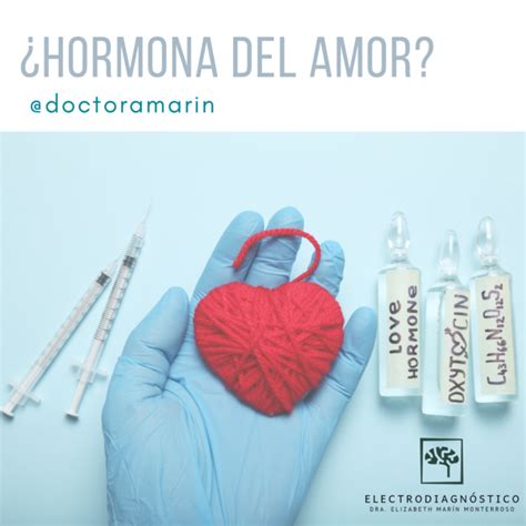 ¿hormona Del Amor