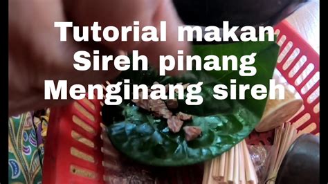 Tutorialcarakaedah Makanmenginang Sireh Pinang Sirih Pinang