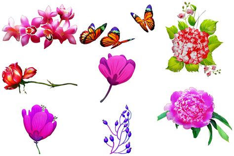 Watercolor Floral Elements Clip Art By Me And Ameliè Thehungryjpeg