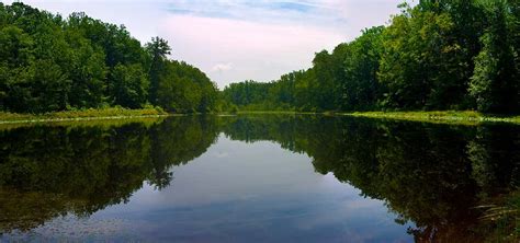 Cedarville State Forest, Brandywine | Roadtrippers