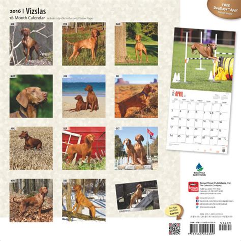 Vizsla Calendarios De Pared Cons Guelos En Posters Es