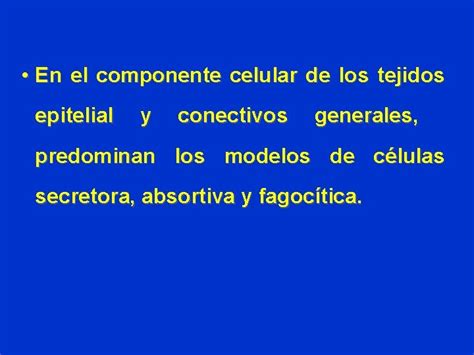 Tema 3 Ttulo Tejidos Bsicos Generalidades Tejido Epitelial