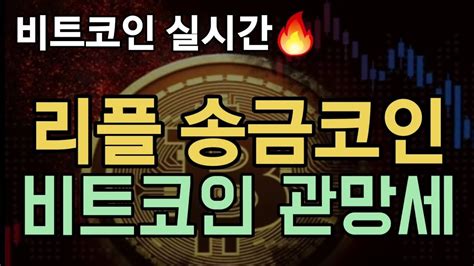 비트코인실시간 리플 송금코인 No1 🔥🔥 Xrp 미래는 비트코인 관망세 Btc Eth Xrp 비트코인 리플