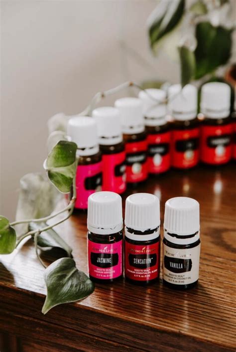 Valentine S Day Diffuser Blends Sarah Loves The Scenic Route