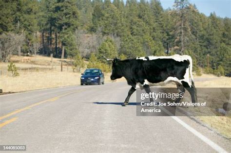 Mescalero Apache Reservation Photos and Premium High Res Pictures - Getty Images